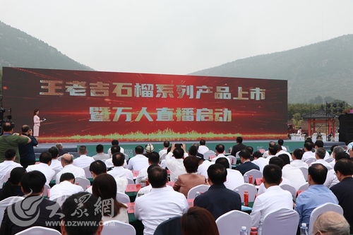 榴聚新動能 2023石榴產(chǎn)業(yè)發(fā)展大會在棗莊開幕，共繪產(chǎn)業(yè)與文化交融新藍(lán)圖